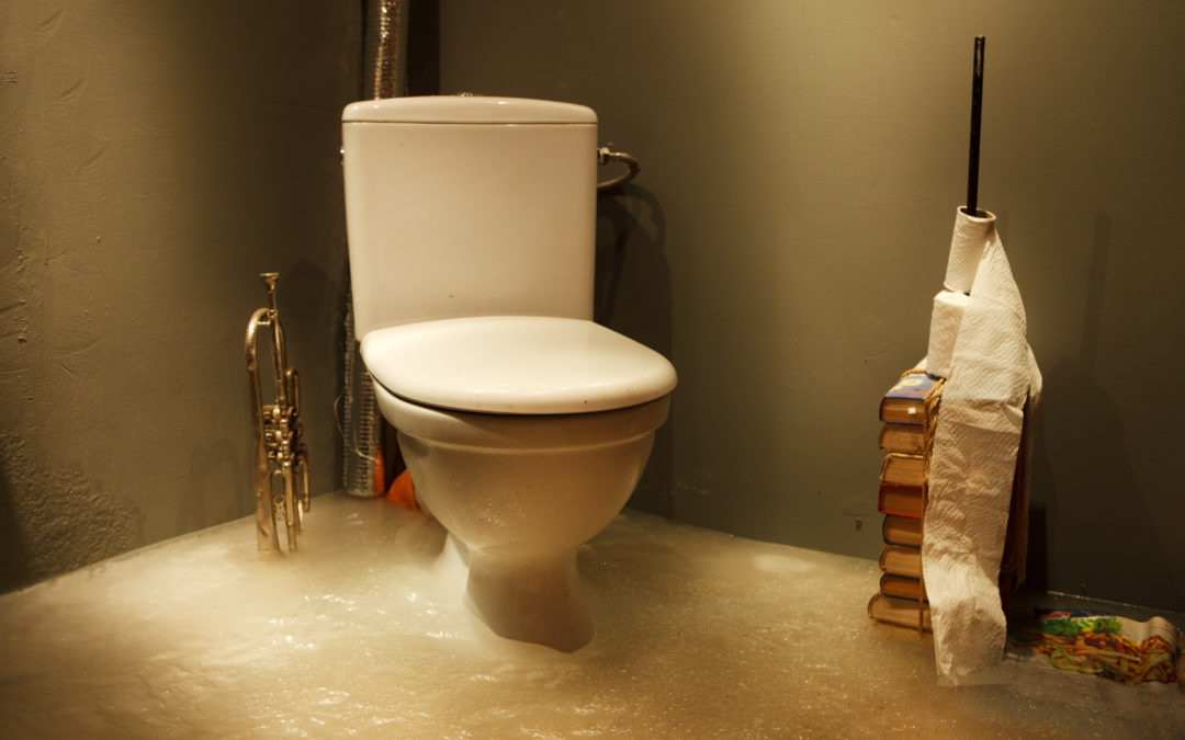 DIY Clogged Toilets: 3 Things to Try Out Before Calling the Experts